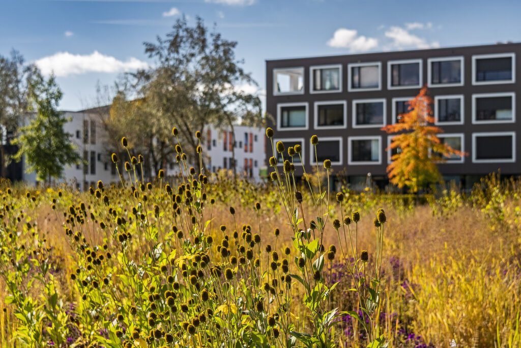 Kragler Immobilien Datenschutzerklärung